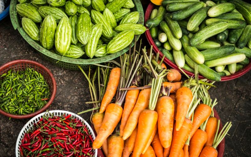 From Farm to Fork: The Importance of Sustainable Food Practices